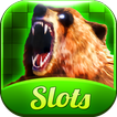 Bear Slots - Free Slot Casino