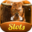 Buffalo Slots Free Slot Casino APK