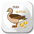 Slotus Duck