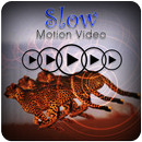 Slow Motion Video Maker APK