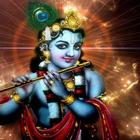 HARE KRISHNA IN HINDI 아이콘