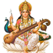 SARASWATI AMRITWANI