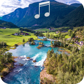 Nature Sounds