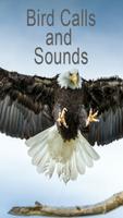 Bird Calls and Sounds poster