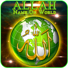 Allah Name on Globe Theme أيقونة