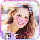 cat face - photo collage