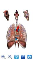 Anatomia Novo plus ++ imagem de tela 2