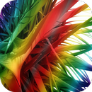Colored Feather Live Wallpaper APK