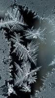 Frost Live Wallpaper 截图 2