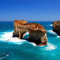 Summer Beach Ocean LWP