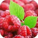Raspberry Live Wallpaper APK