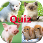 Pics Animals Quiz icon