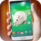 mouse in phone 图标