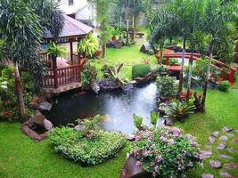 Small Garden Ideas স্ক্রিনশট 2