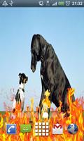 small dog and large dog penulis hantaran