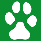 Icona Small Dog Breeds