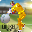 Cricket Champion League - New Cricket Game APK