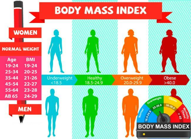 Smart BMI Calculator APK for Android Download