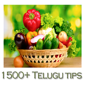 1500+ Telugu Tips ícone