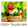 1500+ Telugu Tips simgesi