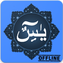 Surat Yasin MP3 (Offline)-APK