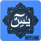 Surat Yasin MP3 (Offline) icône