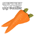 গাজরের স্বাস্থ্য উপকারিতা biểu tượng