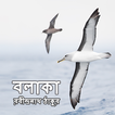 বলাকা - রবীন্দ্রনাথ ঠাকুর