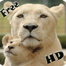 Animal sounds  For Kids Learning-Tiger Monkey 2017 APK