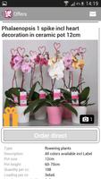 برنامه‌نما Ammerlaan Orchids عکس از صفحه