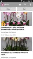 Ammerlaan Orchids 截圖 2