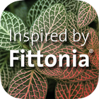 Fittonia icône