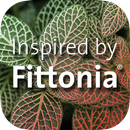 Fittonia APK