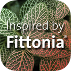 Fittonia آئیکن