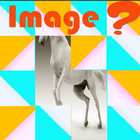 guess the image icon