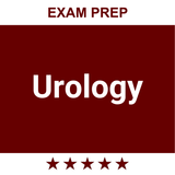 Urology icon