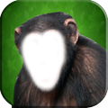 Funny Monkey Photo Changer