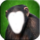 Funny Monkey Photo Changer-APK