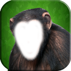 Funny Monkey Photo Changer آئیکن