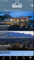 Telluride Real Estate Search screenshot 1