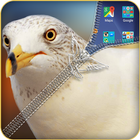 Cute Pigeon Zipper Lock icône