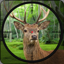 Deer Hunter 2018- 3D Wild Jungle Animal Hunting aplikacja