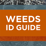 Weeds ID Guide Nth Central Vic آئیکن