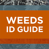 Weeds ID Guide Nth Central Vic icon