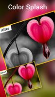 Color Splash Effect اسکرین شاٹ 2