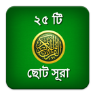 ২৫ ছোট সূরা Bangla Small Sura icône