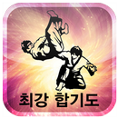 APK 최강합기도(허지행),합기도