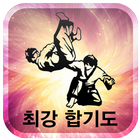 최강합기도(허지행),합기도 icon