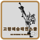 고령예승태권스쿨 icon