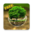 Relax Sleep Nature Sounds Free APK